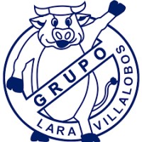 GRUPO LARA VILLALOBOS logo, GRUPO LARA VILLALOBOS contact details