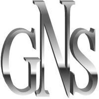 GSN Consulting Services Inc. logo, GSN Consulting Services Inc. contact details