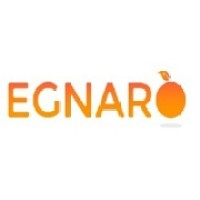 EGNARO SOFTWARE SOLUTIONS PRIVATE LIMITED logo, EGNARO SOFTWARE SOLUTIONS PRIVATE LIMITED contact details