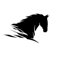 Black Horse Animation & Design logo, Black Horse Animation & Design contact details