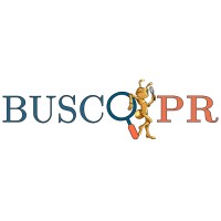 BuscoPR logo, BuscoPR contact details