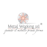 METAL WORKING S.r.l. logo, METAL WORKING S.r.l. contact details