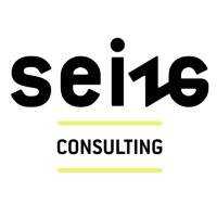 Seize Consulting logo, Seize Consulting contact details