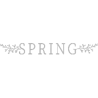 Spring Events and Entertainment logo, Spring Events and Entertainment contact details