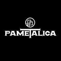 Pametalica Puertas y Ventanas logo, Pametalica Puertas y Ventanas contact details