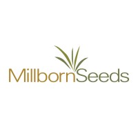 Millborn Seeds logo, Millborn Seeds contact details