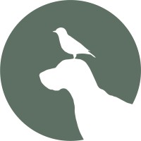 Bird Dog Agency logo, Bird Dog Agency contact details