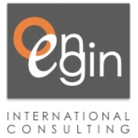 On Egin International Consulting logo, On Egin International Consulting contact details