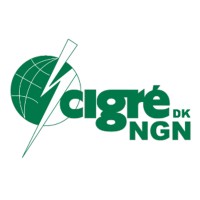 Young Cigre Denmark logo, Young Cigre Denmark contact details