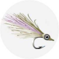 OLE FLORIDA FLY SHOP, INC. logo, OLE FLORIDA FLY SHOP, INC. contact details