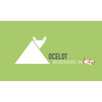 Ocelot logo, Ocelot contact details