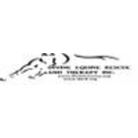 Divine Equine logo, Divine Equine contact details