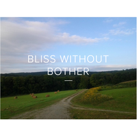 Bliss Without Bother logo, Bliss Without Bother contact details