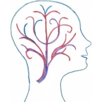 Neurowellness, LLC logo, Neurowellness, LLC contact details