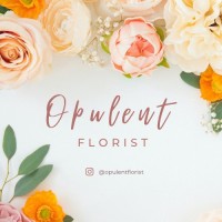 Opulent Florist logo, Opulent Florist contact details