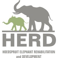 HERD - Hoedspruit Elephant Rehabilitation and Development logo, HERD - Hoedspruit Elephant Rehabilitation and Development contact details