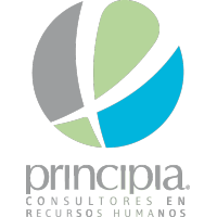 Principia Consultores logo, Principia Consultores contact details