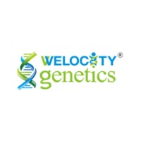 Welocity Genetics logo, Welocity Genetics contact details