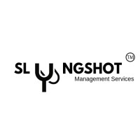 Slyngshot Management Services ™ logo, Slyngshot Management Services ™ contact details