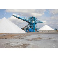 Zad Salt Industry logo, Zad Salt Industry contact details