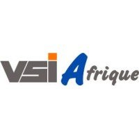 VSi Afrique logo, VSi Afrique contact details