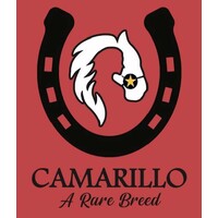 Camarillo Consulting Services, LLC logo, Camarillo Consulting Services, LLC contact details