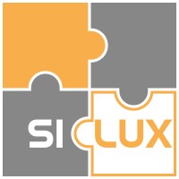 SILUX AG logo, SILUX AG contact details