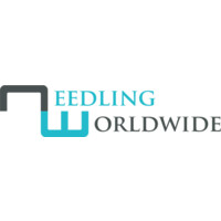 Needling Worldwide logo, Needling Worldwide contact details