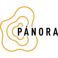 Panora Geoinformatic logo, Panora Geoinformatic contact details