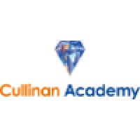 Cullinan Academy BV logo, Cullinan Academy BV contact details