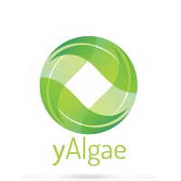 yAlgae logo, yAlgae contact details