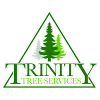 Trinity Tree Services logo, Trinity Tree Services contact details