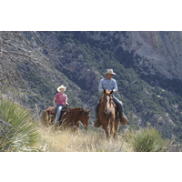 Elkhorn Ranch - Arizona logo, Elkhorn Ranch - Arizona contact details