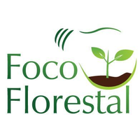 Foco Florestal logo, Foco Florestal contact details