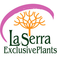 La Serra ExclusivePlants logo, La Serra ExclusivePlants contact details