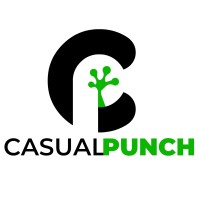 Casual Punch Game Studios Pvt. Ltd logo, Casual Punch Game Studios Pvt. Ltd contact details