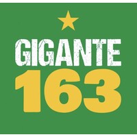 Gigante 163 logo, Gigante 163 contact details