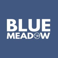 Blue Meadow Digital logo, Blue Meadow Digital contact details