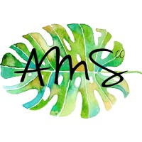 AMS de Villiers CC logo, AMS de Villiers CC contact details