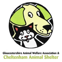 Cheltenham Animal Shelter logo, Cheltenham Animal Shelter contact details