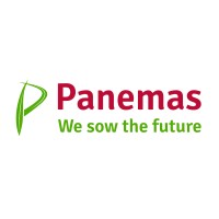 Panemas logo, Panemas contact details