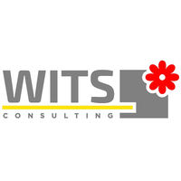 WITS Consulting logo, WITS Consulting contact details