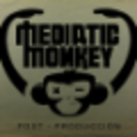 MEDIATICMONKEY logo, MEDIATICMONKEY contact details