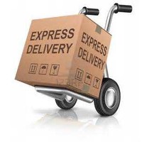 Williamson Shipping & Delivery, LLC logo, Williamson Shipping & Delivery, LLC contact details