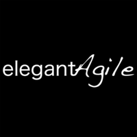 Elegant Agile, Inc. logo, Elegant Agile, Inc. contact details