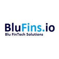 Blu FinTech Solutions logo, Blu FinTech Solutions contact details