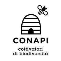 Conapi logo, Conapi contact details