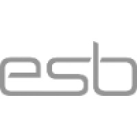 ESB Holdings logo, ESB Holdings contact details