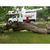 Patriot Tree Service logo, Patriot Tree Service contact details