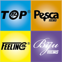 Most Feeling International LTDA logo, Most Feeling International LTDA contact details